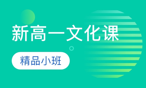 新高一文化课精品小班