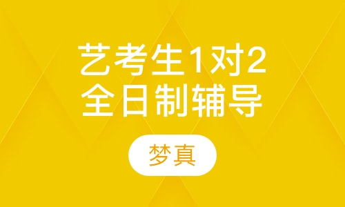 艺考生1对2全日制辅导