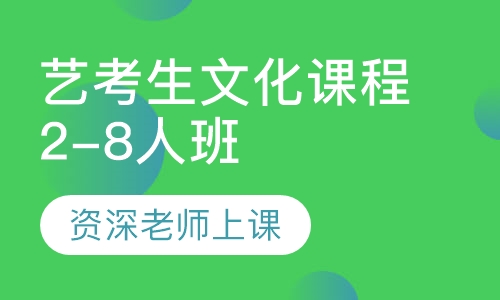 艺考生文化课程2-8人班