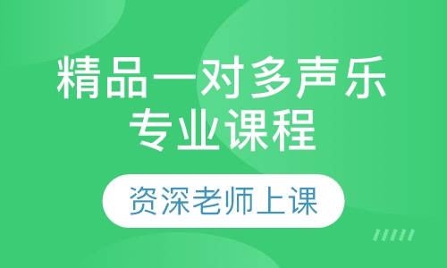 精品一对多声乐专业课程