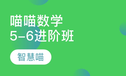 喵喵数学进阶班（5-6岁）
