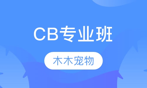 CB专业班