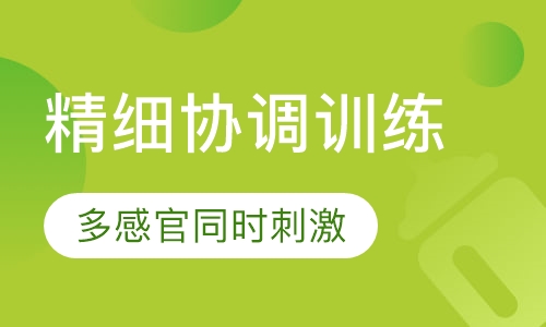 精细协调训练