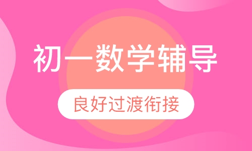 初一数学辅导