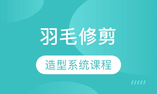 羽毛修剪造型系统课程