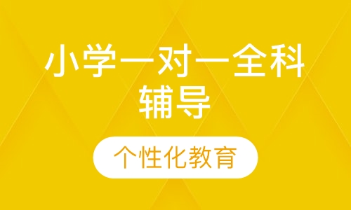小学一对一全科辅导