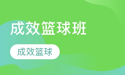 成效篮球训练营周末班课程