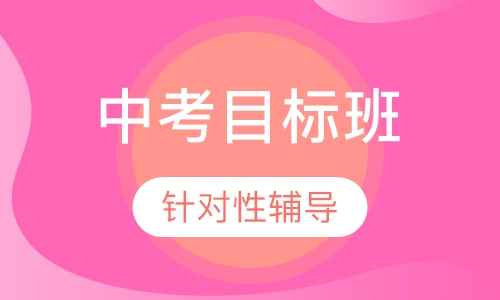 中考目标班