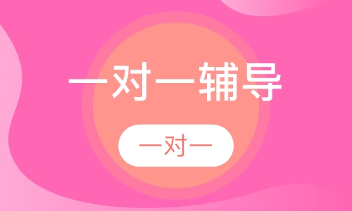 一对一辅导