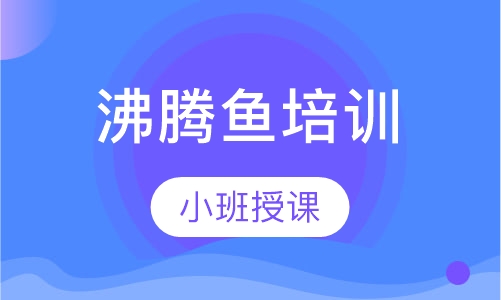 沸腾鱼培训