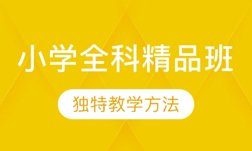 小学全科精品班