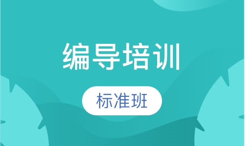 编导培训标准班