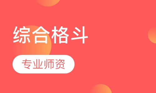 综合格斗