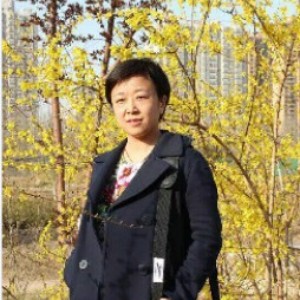 宋东文
