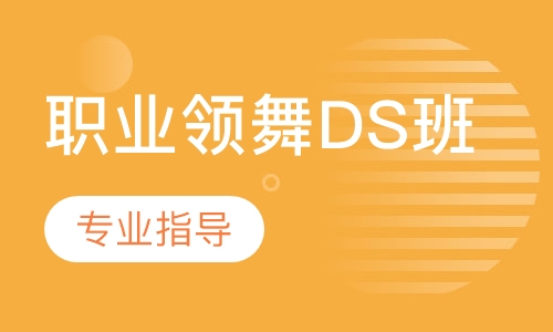 职业领舞DS班