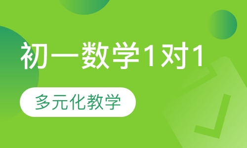 初一数学1对1辅导