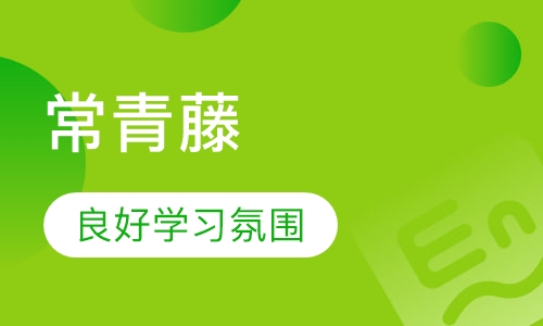 常青藤精英班