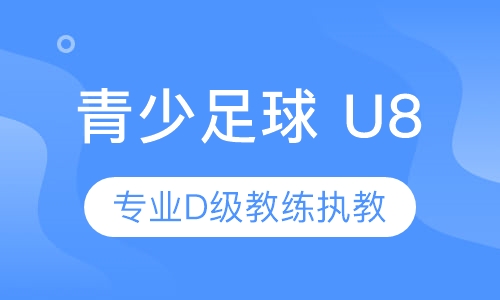 青少足球 U8