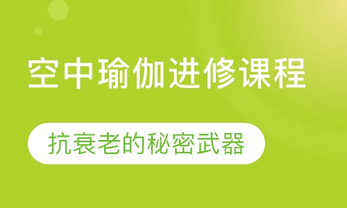 空中瑜伽进修培训