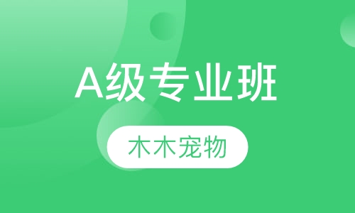 A级专业班