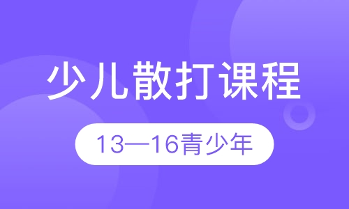 少儿散打课程