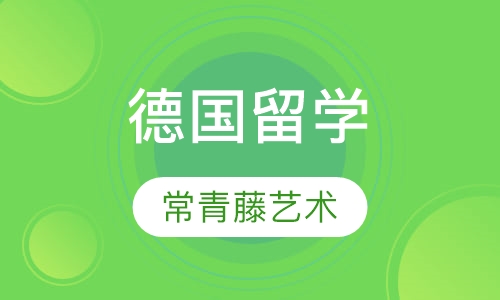 德国常青藤艺术精英 PlanA