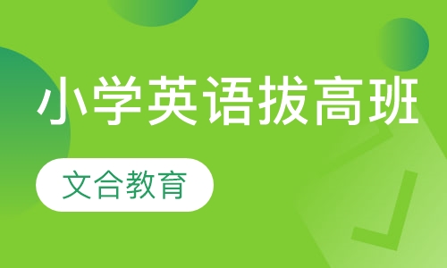 小学1对1针对性辅导英语拔高班