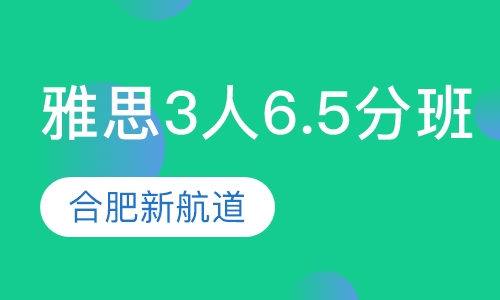 雅思入门定制3人6.5分班