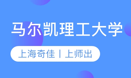 马尔凯理工大学
