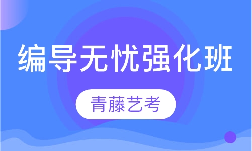 编导无忧强化班