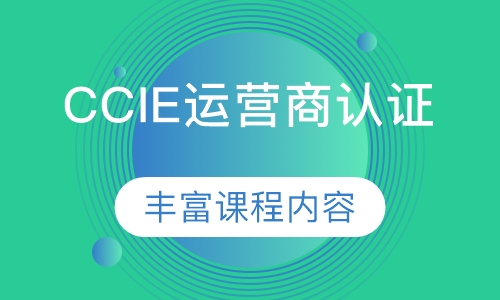 录播课+直播课CCIE运营商认证