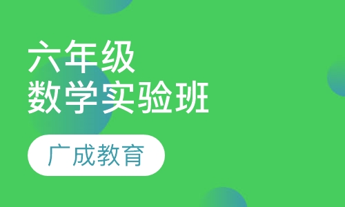 六年级数学实验班