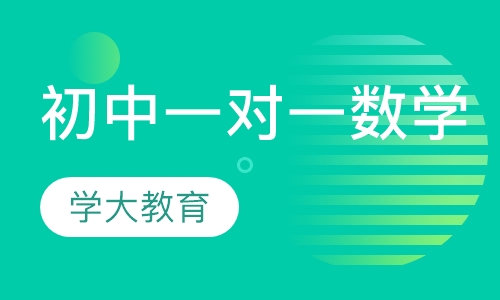 初中一对一辅导数学