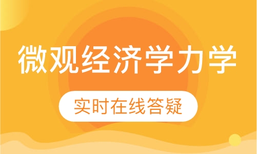 AP微观经济学、力学日班