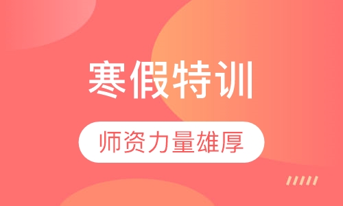 寒假特训