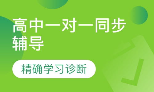 高中一对一同步辅导