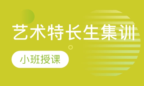 艺术特长生集训