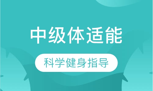 中级体适能
