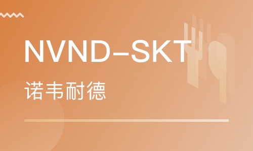 NVND-SKT（4.0）课程体系