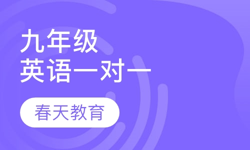 九年级(初三)语文一对一辅导课程