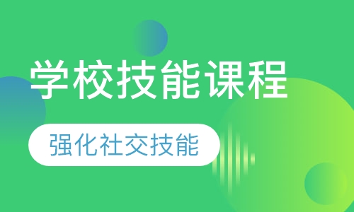 学校技能课程