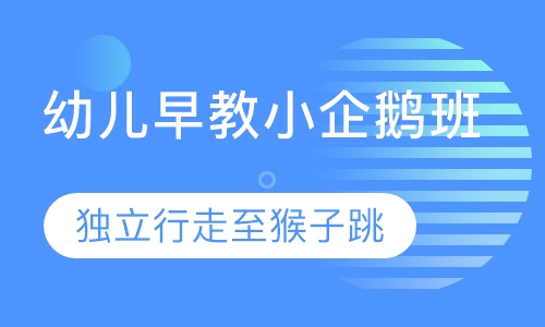 幼儿早教小企鹅班