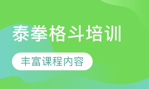 泰拳格斗培训
