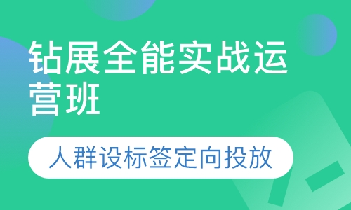 钻展全能实战运营班