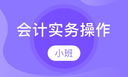会计实务操作中级