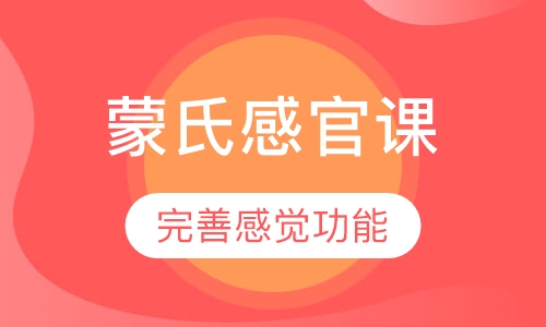 蒙氏感官课程2.5-3.5岁