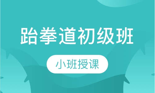 跆拳道初级班