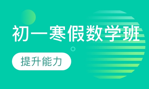 初一寒假数学班