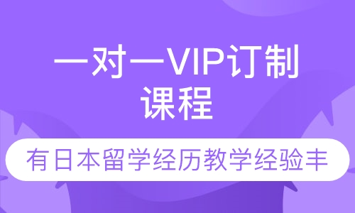 一对一VIP订制课程