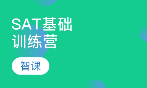 SAT基础训练营
